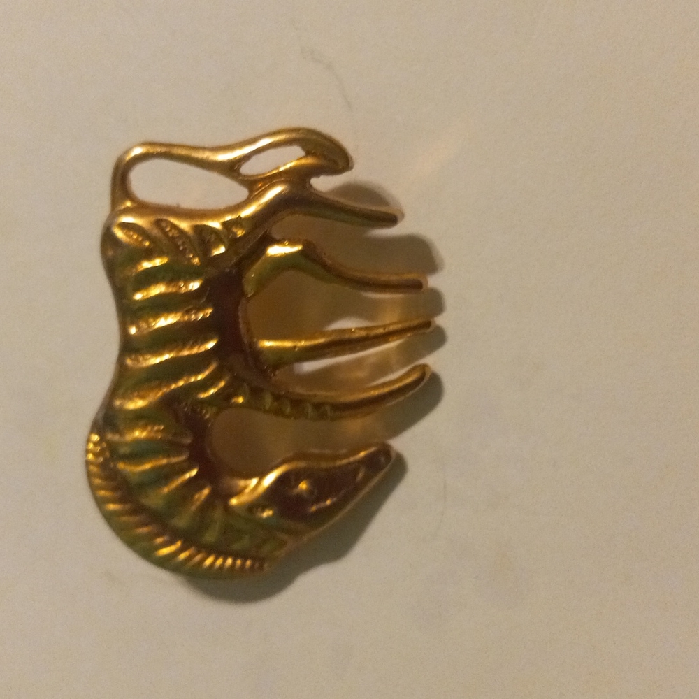 Gold zebra broa